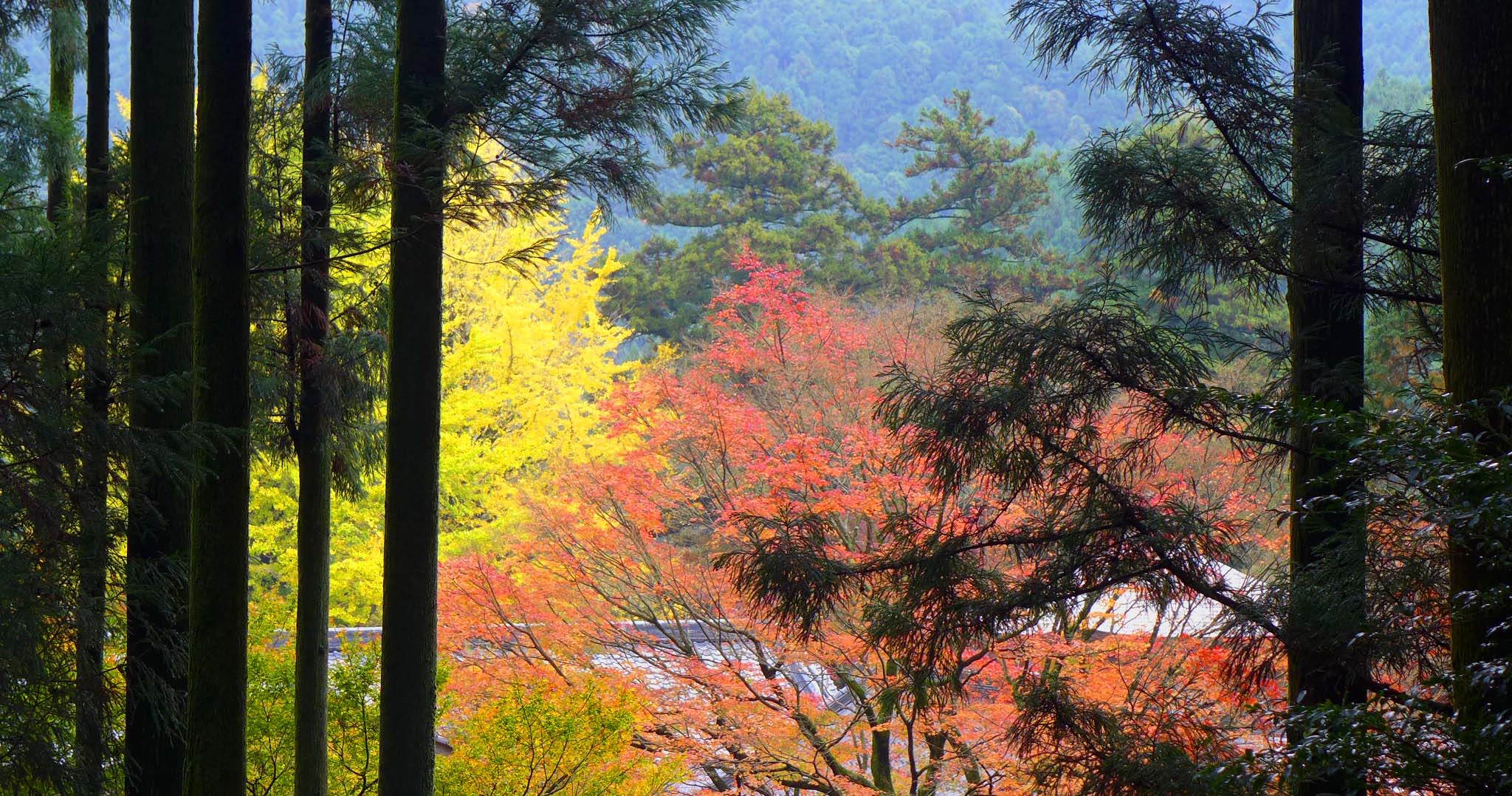 雷山観音